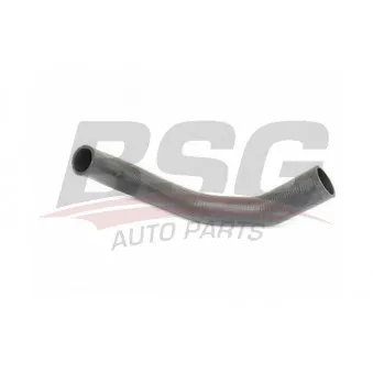 Durite de radiateur BSG BSG 30-720-255