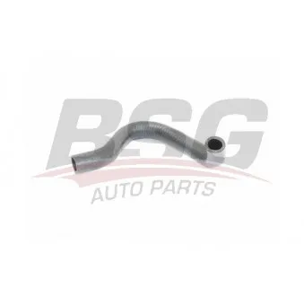Gaine de suralimentation BSG BSG 30-720-258