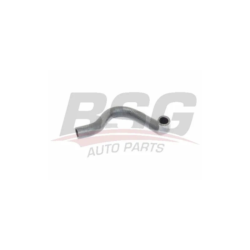 Gaine de suralimentation BSG BSG 30-720-258