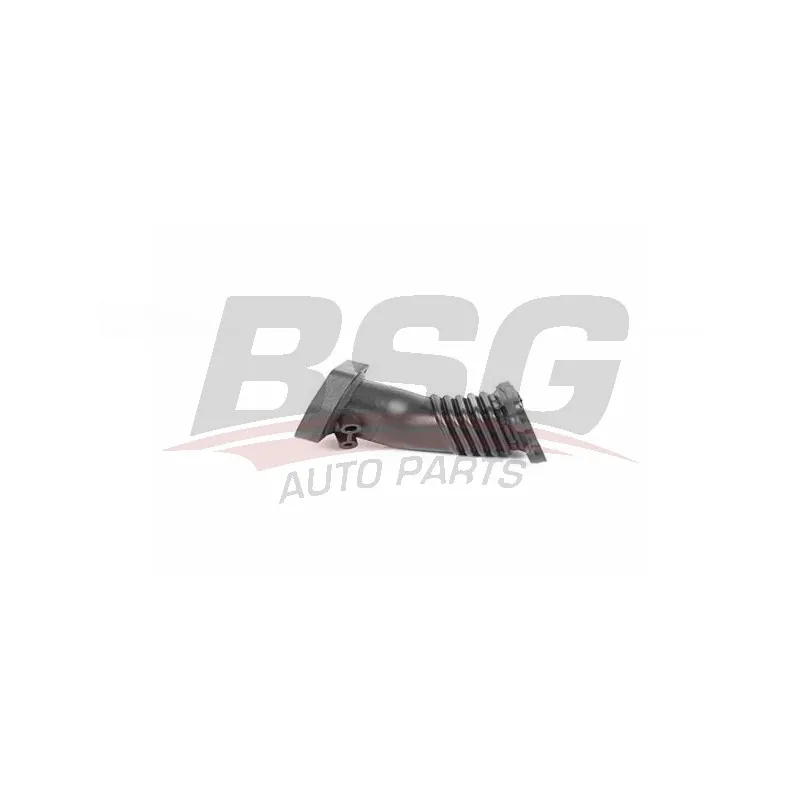 Tuyau d'aspiration, alimentation d'air BSG BSG 30-720-271