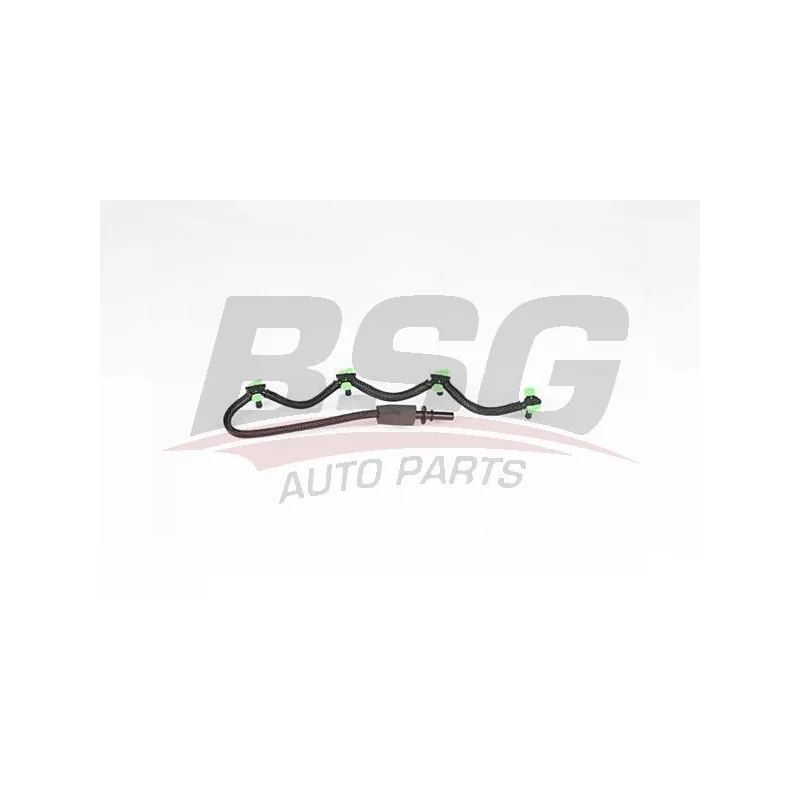 Tuyau, carburant de fuite BSG BSG 30-725-109