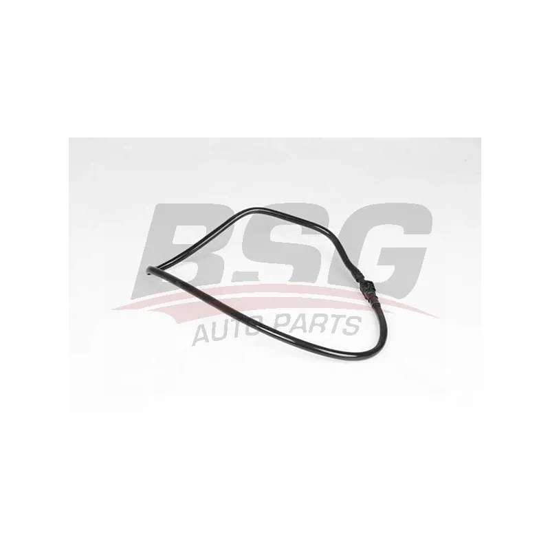 Tuyauterie de carburant BSG BSG 30-725-111