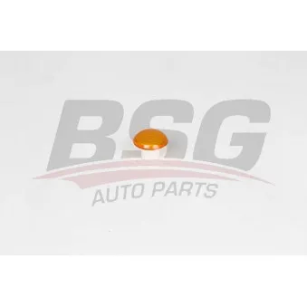 Feu clignotant BSG BSG 30-810-044