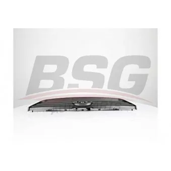 Grille de radiateur BSG BSG 30-927-022
