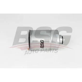 Filtre à carburant BSG BSG 40-130-020