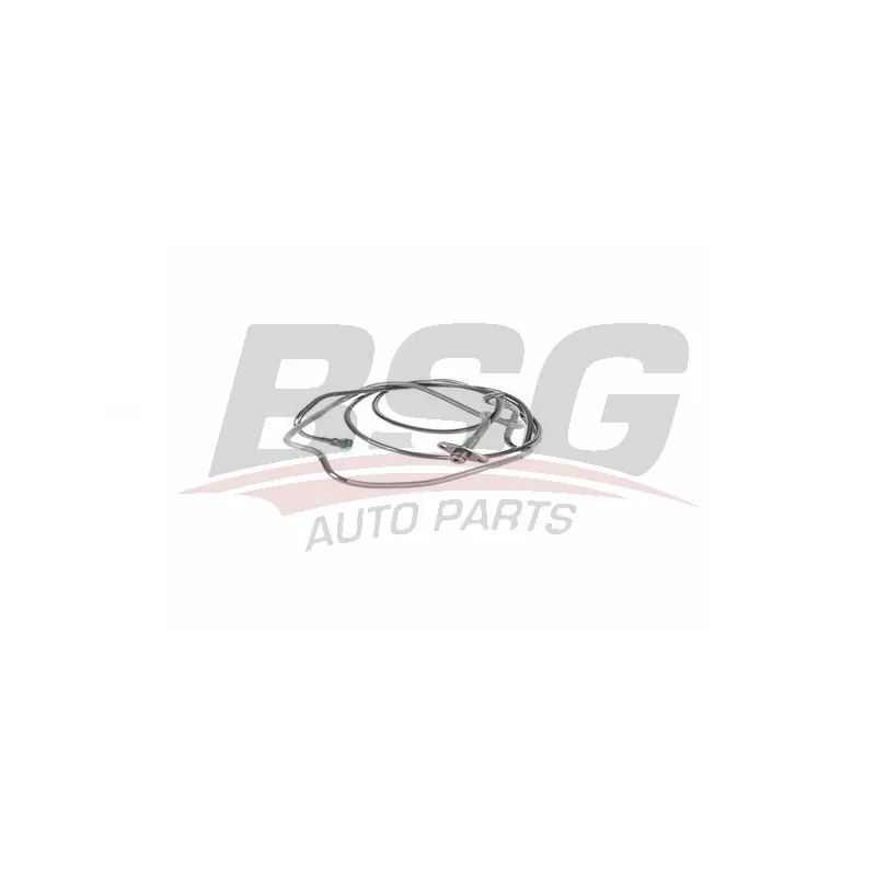 Tuyauterie de carburant BSG BSG 40-725-003