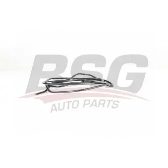 Tuyauterie de carburant BSG BSG 40-725-004