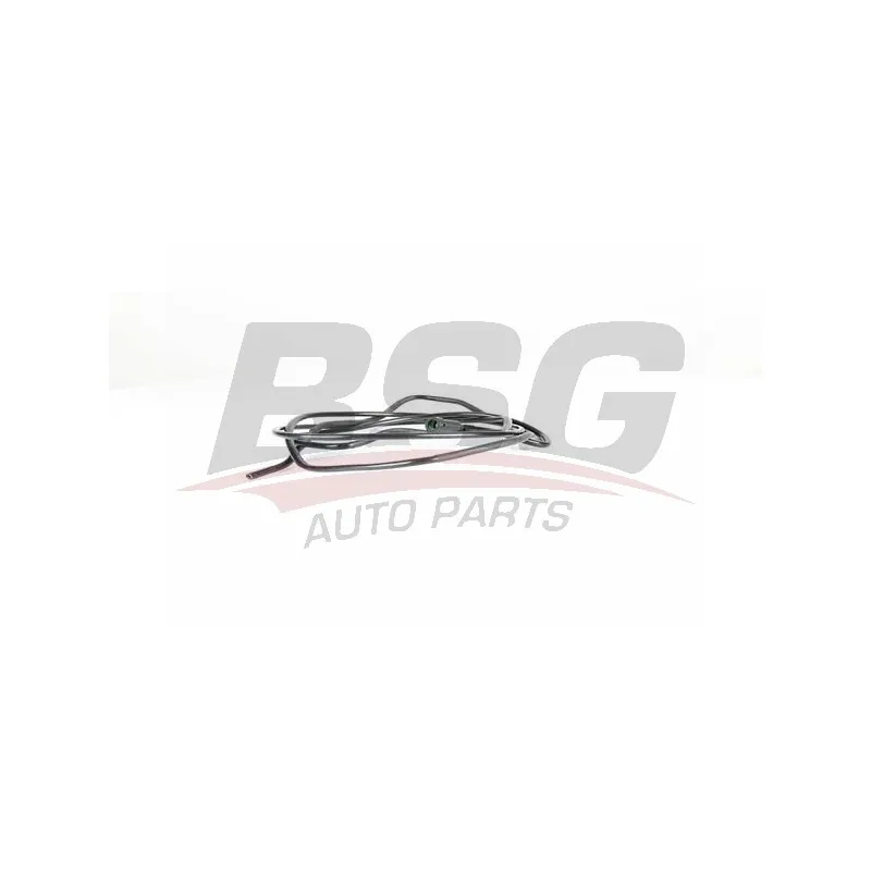 Tuyauterie de carburant BSG BSG 40-725-004