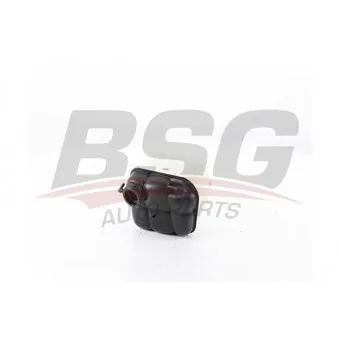 Vase d'expansion, liquide de refroidissement BSG BSG 60-550-001