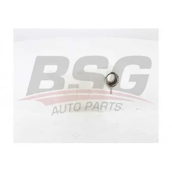 Vase d'expansion, liquide de refroidissement BSG BSG 60-550-006