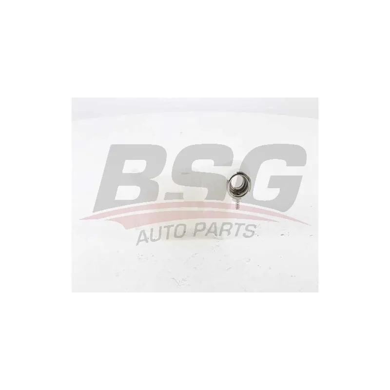 Vase d'expansion, liquide de refroidissement BSG BSG 60-550-006