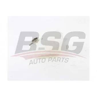 Vase d'expansion, liquide de refroidissement BSG BSG 60-550-010