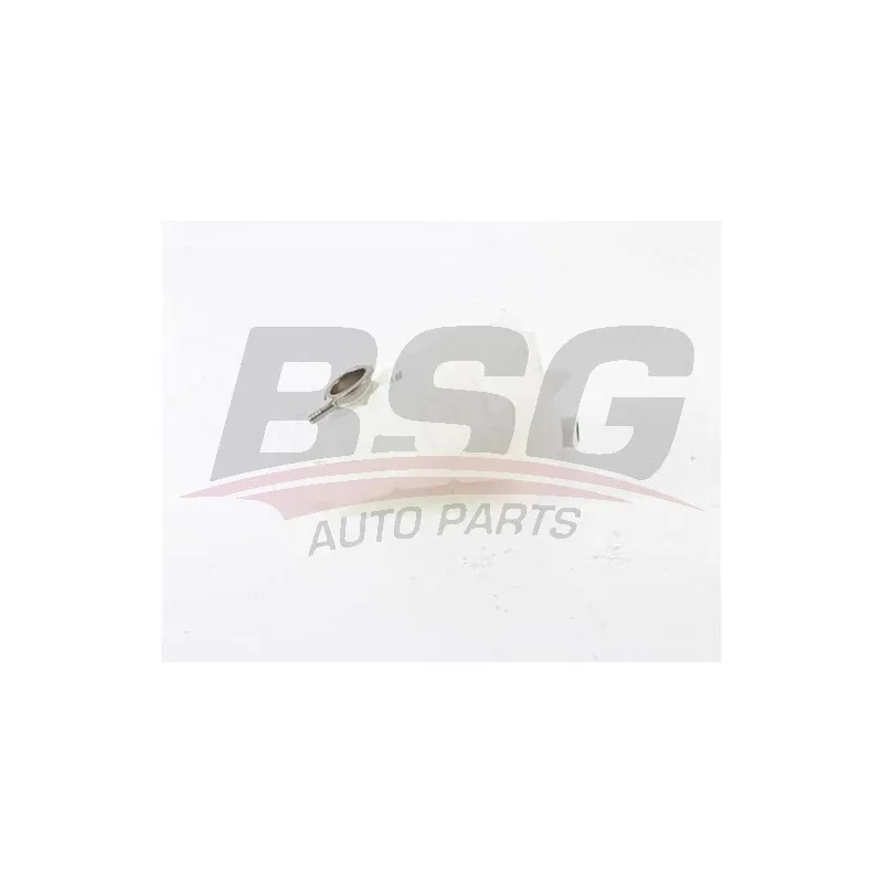 Vase d'expansion, liquide de refroidissement BSG BSG 60-550-010