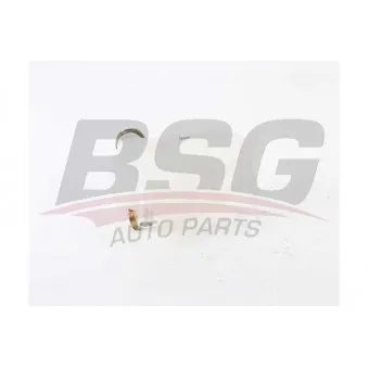 Vase d'expansion, liquide de refroidissement BSG BSG 60-550-011