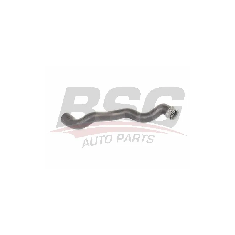 Durite de radiateur BSG BSG 60-720-219