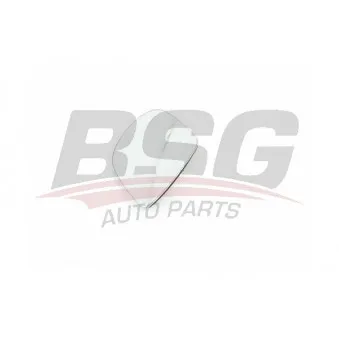 Verre de rétroviseur, rétroviseur extérieur BSG BSG 60-910-016