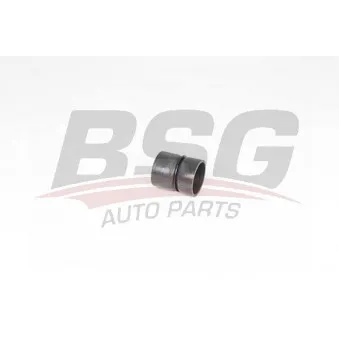 Gaine de suralimentation BSG BSG 70-720-207