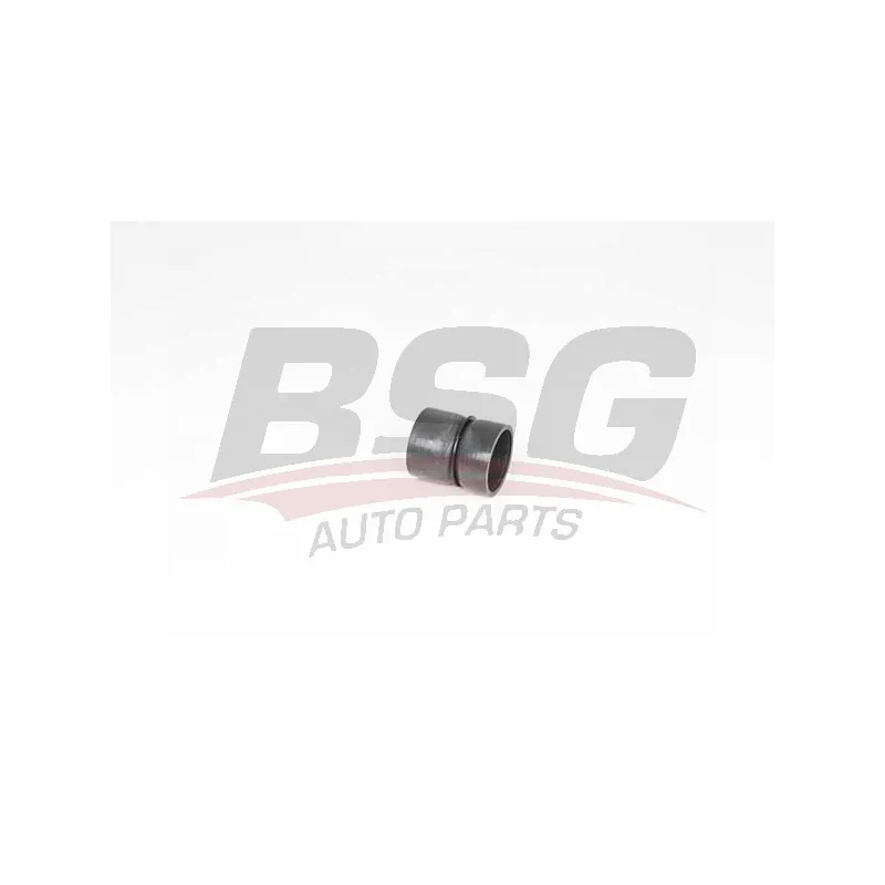 Gaine de suralimentation BSG BSG 70-720-207
