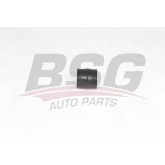 Gaine de suralimentation BSG BSG 70-720-208