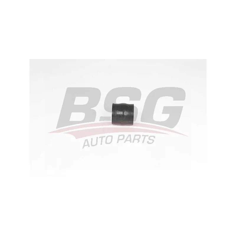 Gaine de suralimentation BSG BSG 70-720-208