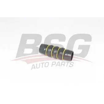 Gaine de suralimentation BSG BSG 70-720-210