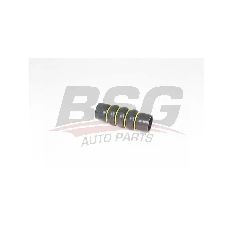 Gaine de suralimentation BSG BSG 70-720-210