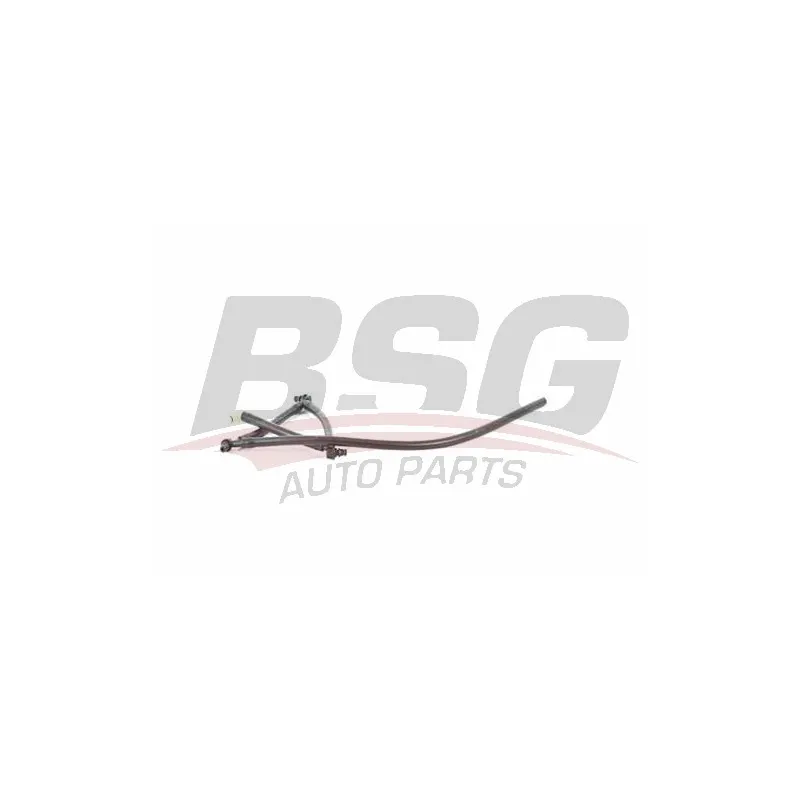 Tuyau, carburant de fuite BSG BSG 70-725-024