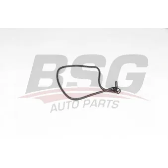 Tuyauterie de carburant BSG BSG 70-725-027