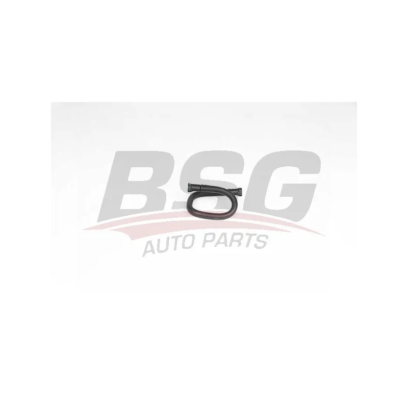 Tuyauterie de carburant BSG BSG 70-725-029