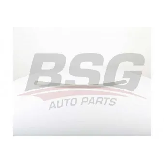 Baguette et bande protectrice, porte avant gauche BSG BSG 70-925-010