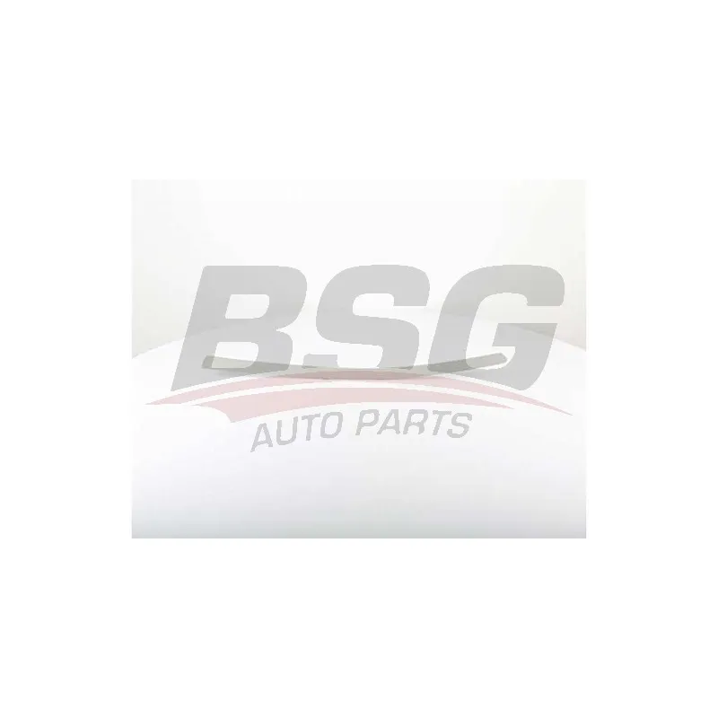 Baguette et bande protectrice, porte avant gauche BSG BSG 70-925-010