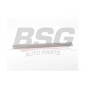 Baguette et bande protectrice, porte arrière droit BSG BSG 70-925-011