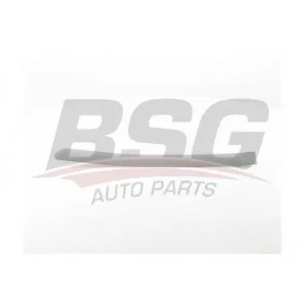 Baguette et bande protectrice, porte arrière gauche BSG BSG 70-925-012