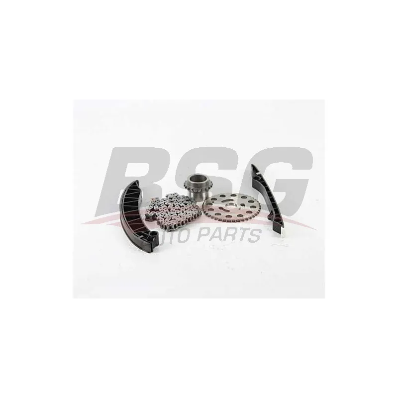 Kit de distribution par chaîne BSG BSG 75-102-003