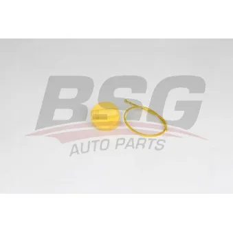 Jauge de niveau d'huile BSG