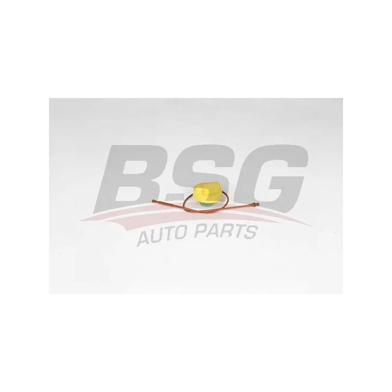 Bouchon, goulotte de remplissage d'huile BSG BSG 75-123-011