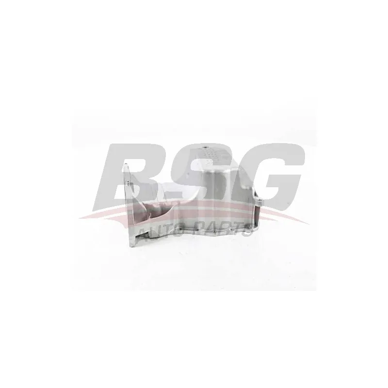 Carter d'huile BSG BSG 75-160-005