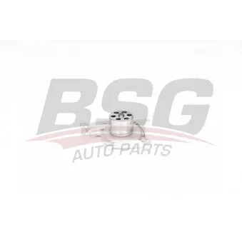Pompe à eau BSG BSG 75-500-002