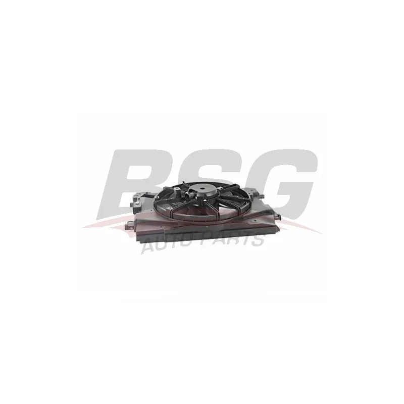 Ventilateur, refroidissement du moteur BSG BSG 75-510-001