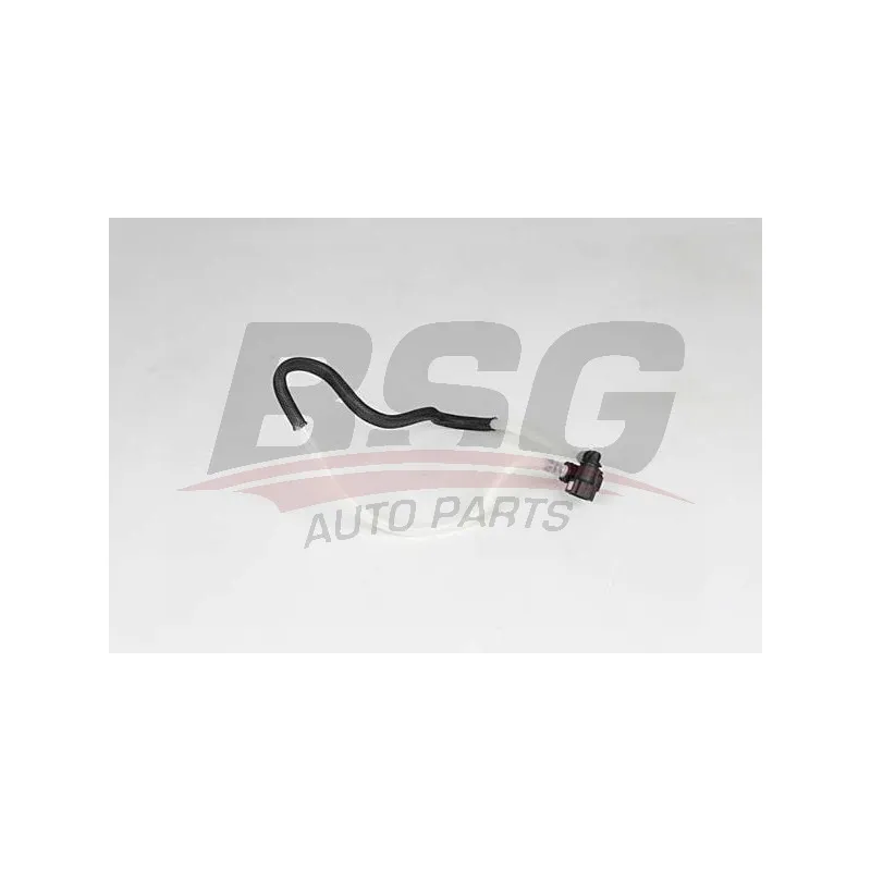 Tuyauterie de carburant BSG BSG 75-725-021