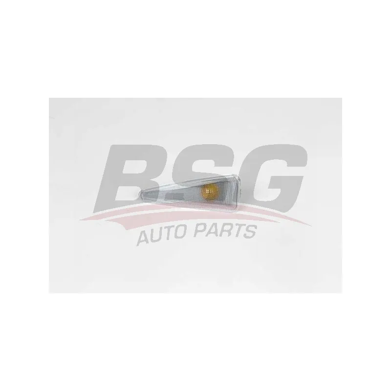 Feu clignotant BSG BSG 75-810-004