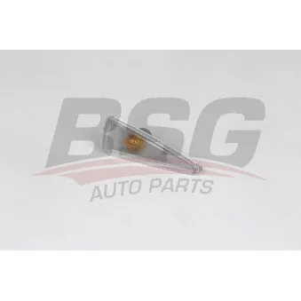 Feu clignotant BSG BSG 75-810-005