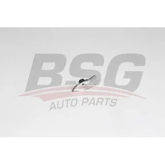Feu clignotant BSG BSG 75-916-001