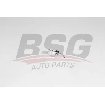 Feu clignotant BSG BSG 75-916-002