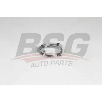 Grille de ventilation, pare-chocs BSG BSG 75-921-007