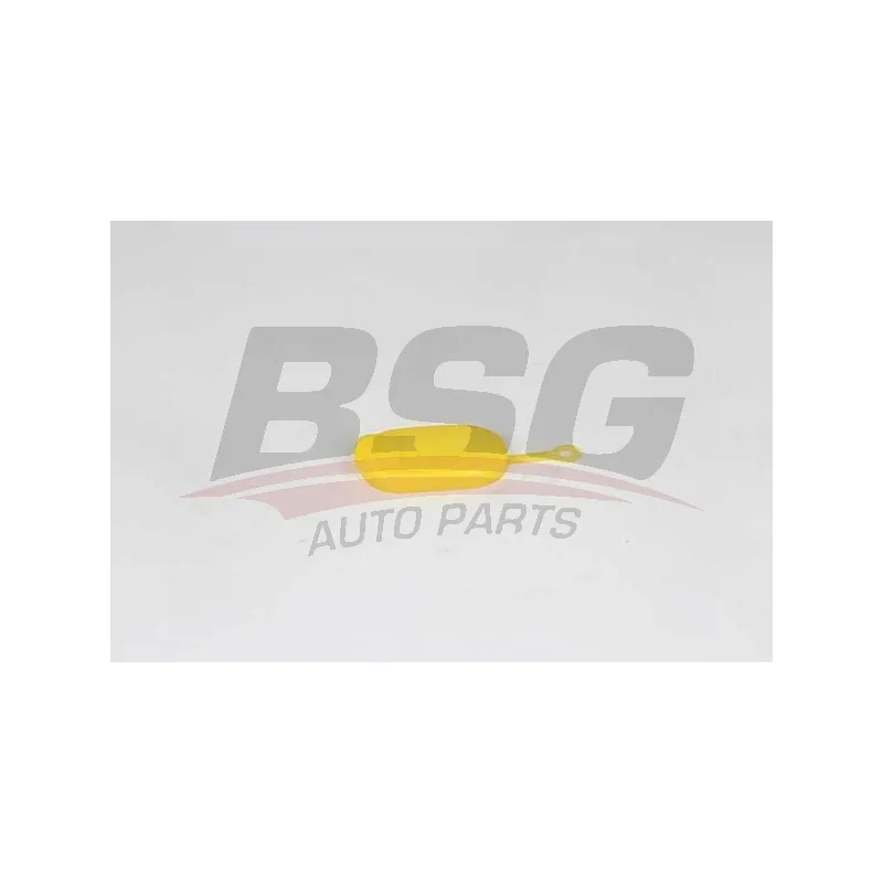 Bouchon, réservoir d'eau de nettoyage BSG BSG 75-922-004