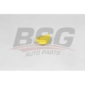 Bouchon, goulotte de remplissage d'huile BSG BSG 75-922-018
