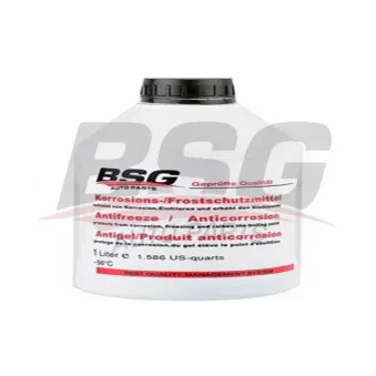 Antigel BSG BSG 99-994-003