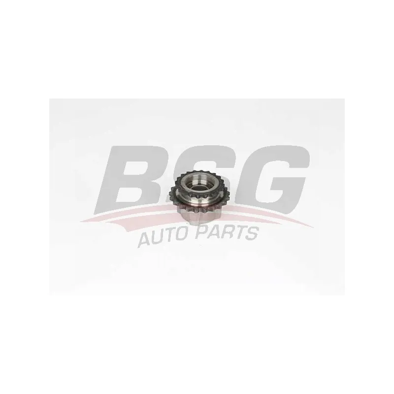 Pignon, pompe d'injection BSG BSG 15-103-001