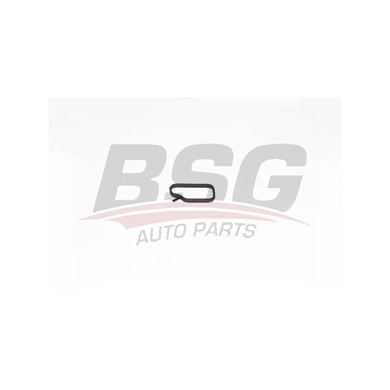 Joint d'étanchéité, tuyau de liquide de refroidissement BSG BSG 15-116-013
